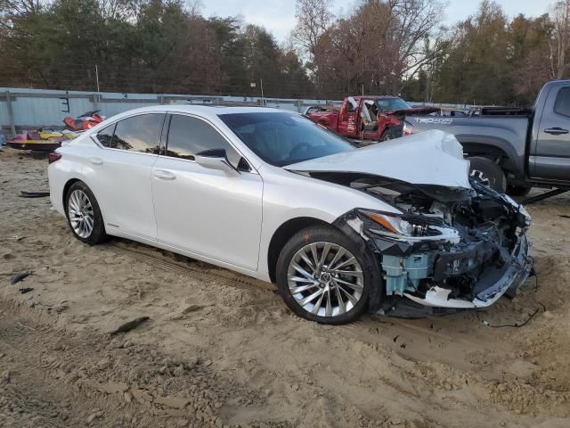 2019 Lexus ES 300H