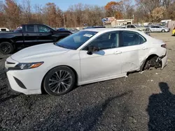 Salvage cars for sale at Baltimore, MD auction: 2020 Toyota Camry SE