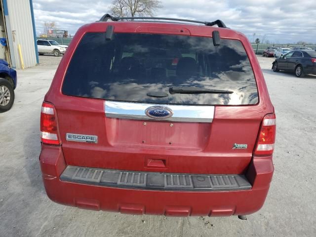 2011 Ford Escape Limited