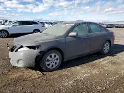 Salvage cars for sale at Helena, MT auction: 2010 Toyota Camry Base