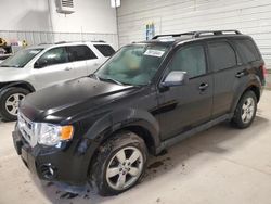 Ford salvage cars for sale: 2010 Ford Escape XLT