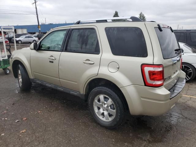 2010 Ford Escape Limited