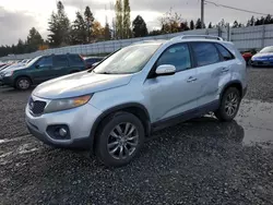 KIA Vehiculos salvage en venta: 2011 KIA Sorento EX