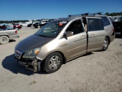 Salvage cars for sale at Houston, TX auction: 2007 Honda Odyssey EXL