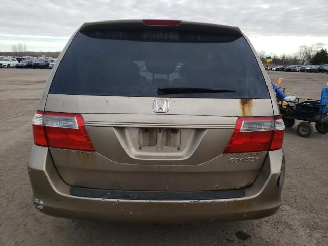 2005 Honda Odyssey EXL