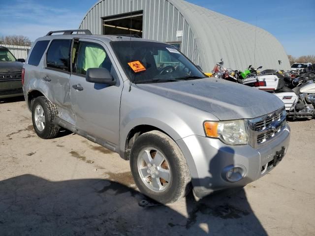 2009 Ford Escape XLT