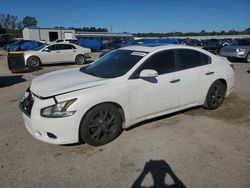 Salvage cars for sale at Harleyville, SC auction: 2012 Nissan Maxima S