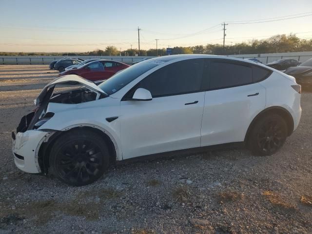 2020 Tesla Model Y