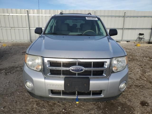 2009 Ford Escape XLT