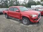 2019 Toyota Tacoma Double Cab