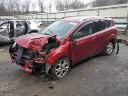 Salvage cars for sale at Ellwood City, PA auction: 2016 Ford Escape Titanium