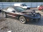 1999 Pontiac Firebird Trans AM