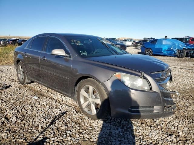 2011 Chevrolet Malibu 1LT