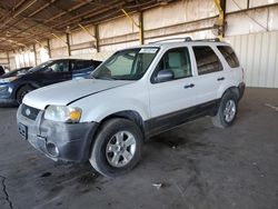 Salvage cars for sale at Phoenix, AZ auction: 2007 Ford Escape XLT