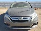 2020 Honda Odyssey EXL