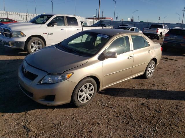 2009 Toyota Corolla Base