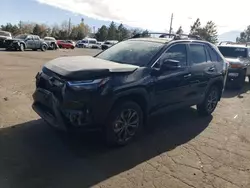 Toyota rav4 xle Premium salvage cars for sale: 2024 Toyota Rav4 XLE Premium