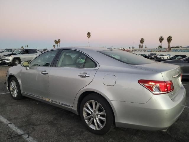 2010 Lexus ES 350