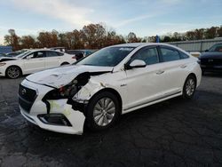 Hyundai Sonata salvage cars for sale: 2017 Hyundai Sonata Hybrid