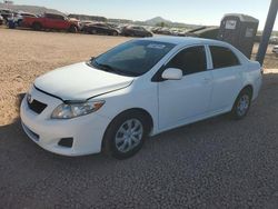 Salvage cars for sale at Phoenix, AZ auction: 2010 Toyota Corolla Base