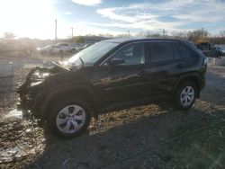 Salvage cars for sale at Louisville, KY auction: 2024 Toyota Rav4 LE