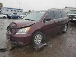 Salvage cars for sale at Albuquerque, NM auction: 2010 Honda Odyssey EX