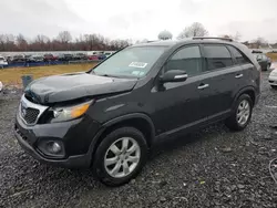 Carros salvage sin ofertas aún a la venta en subasta: 2011 KIA Sorento Base