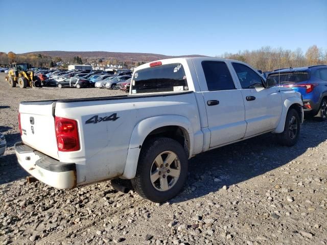 2008 Dodge Dakota Quattro