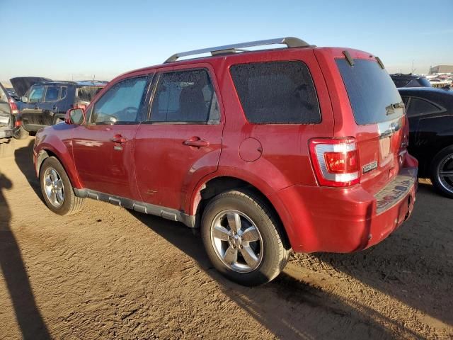 2012 Ford Escape Limited