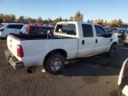 2008 Ford F250 Super Duty