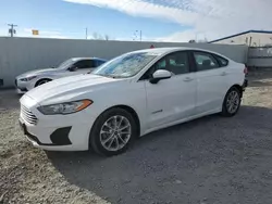 Vehiculos salvage en venta de Copart Albany, NY: 2019 Ford Fusion SE