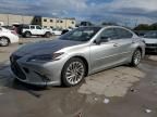 2019 Lexus ES 300H