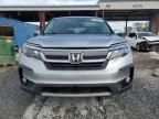 2019 Honda Pilot EXL