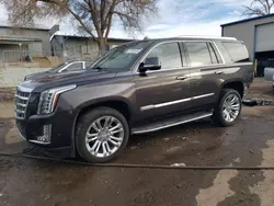 Salvage SUVs for sale at auction: 2018 Cadillac Escalade Premium Luxury