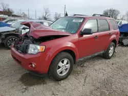 Salvage cars for sale from Copart Lansing, MI: 2010 Ford Escape XLT