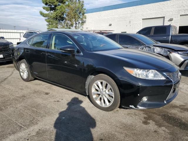 2014 Lexus ES 300H