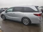 2025 Honda Odyssey EXL