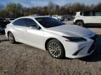 2021 Lexus ES 300H Luxury