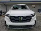 2023 Honda Pilot EXL