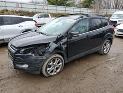 Ford Escape salvage cars for sale: 2013 Ford Escape SEL