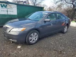 Toyota Vehiculos salvage en venta: 2009 Toyota Camry Base