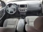 2004 Ford Escape XLT