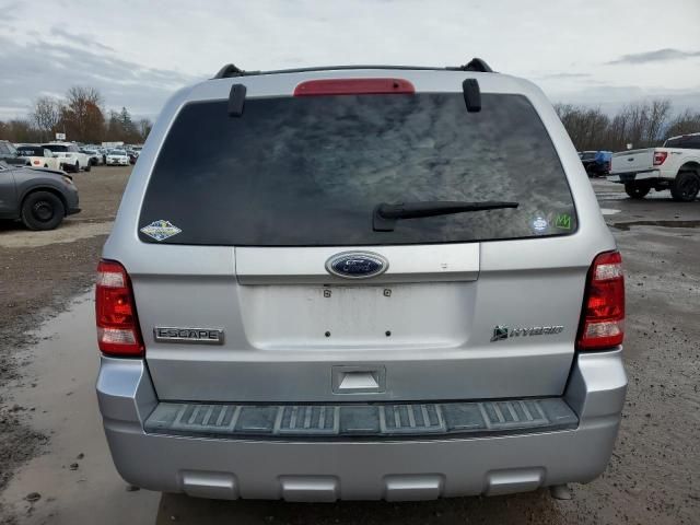 2010 Ford Escape Hybrid