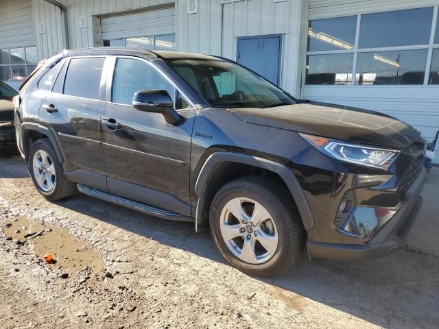 2019 Toyota Rav4 XLE