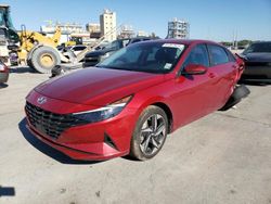 Salvage cars for sale at New Orleans, LA auction: 2023 Hyundai Elantra SEL