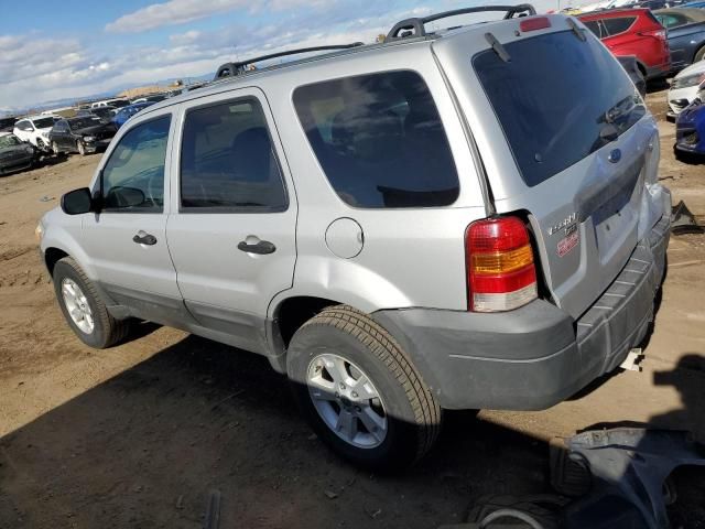 2005 Ford Escape XLT