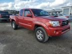 2010 Toyota Tacoma Access Cab