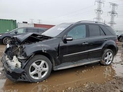 Salvage cars for sale at Elgin, IL auction: 2007 Mercedes-Benz ML 350