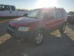 Clean Title Cars for sale at auction: 2002 Ford Escape XLT