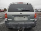 2005 Ford Escape XLT